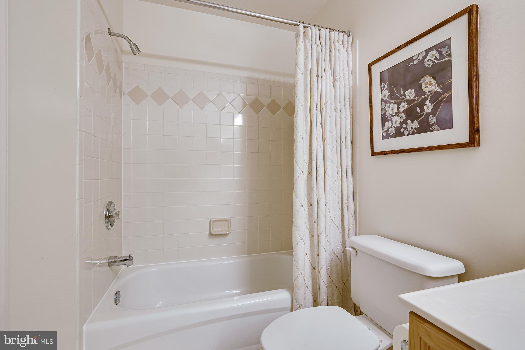 1933 Logan Manor Drive Reston, VA 20190 - Photo 79 of 120 Full Bath #3