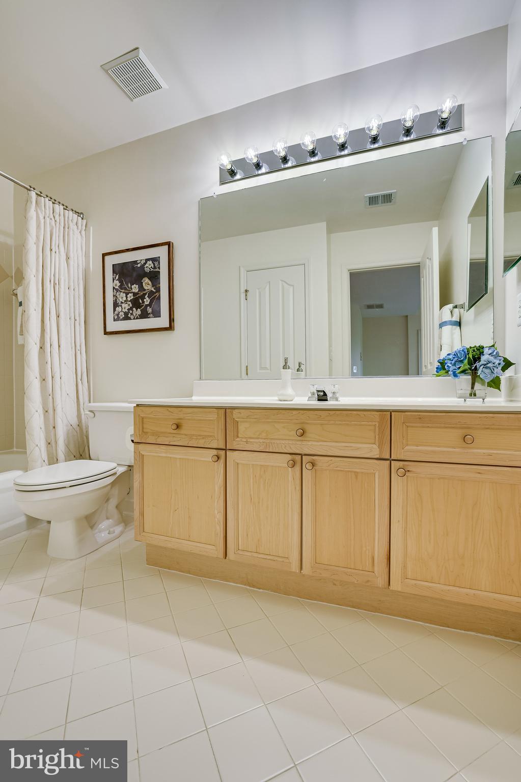 1933 Logan Manor Drive Reston, VA 20190 - Photo 80 of 120 Full Bath #3