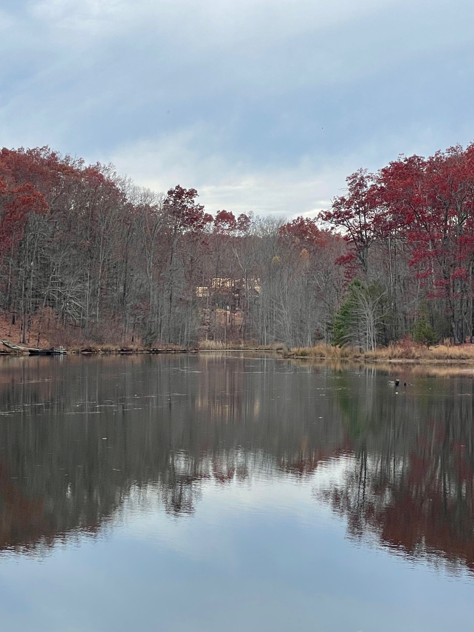 1863 Lake Louisa Loop Monteagle, TN 37356 - Photo 57 of 63 a view of a lake with a mountain in the background