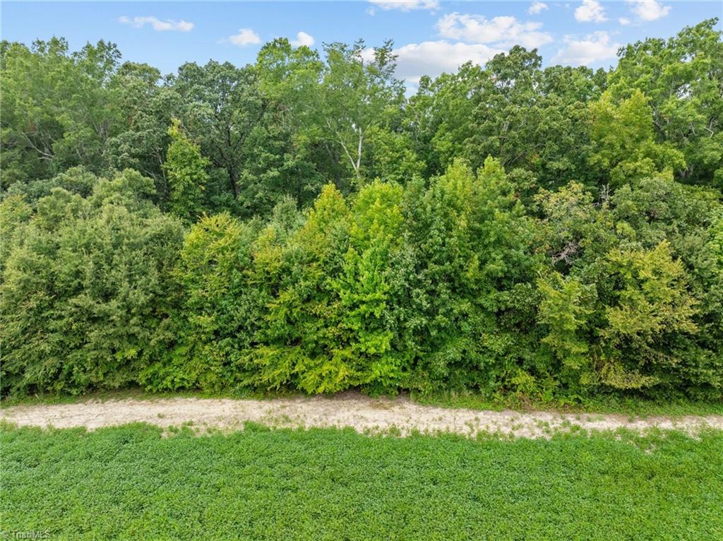 7210 Ludgate Road Gibsonville, NC 27249 - Photo 6 of 9 Gallery Image 6