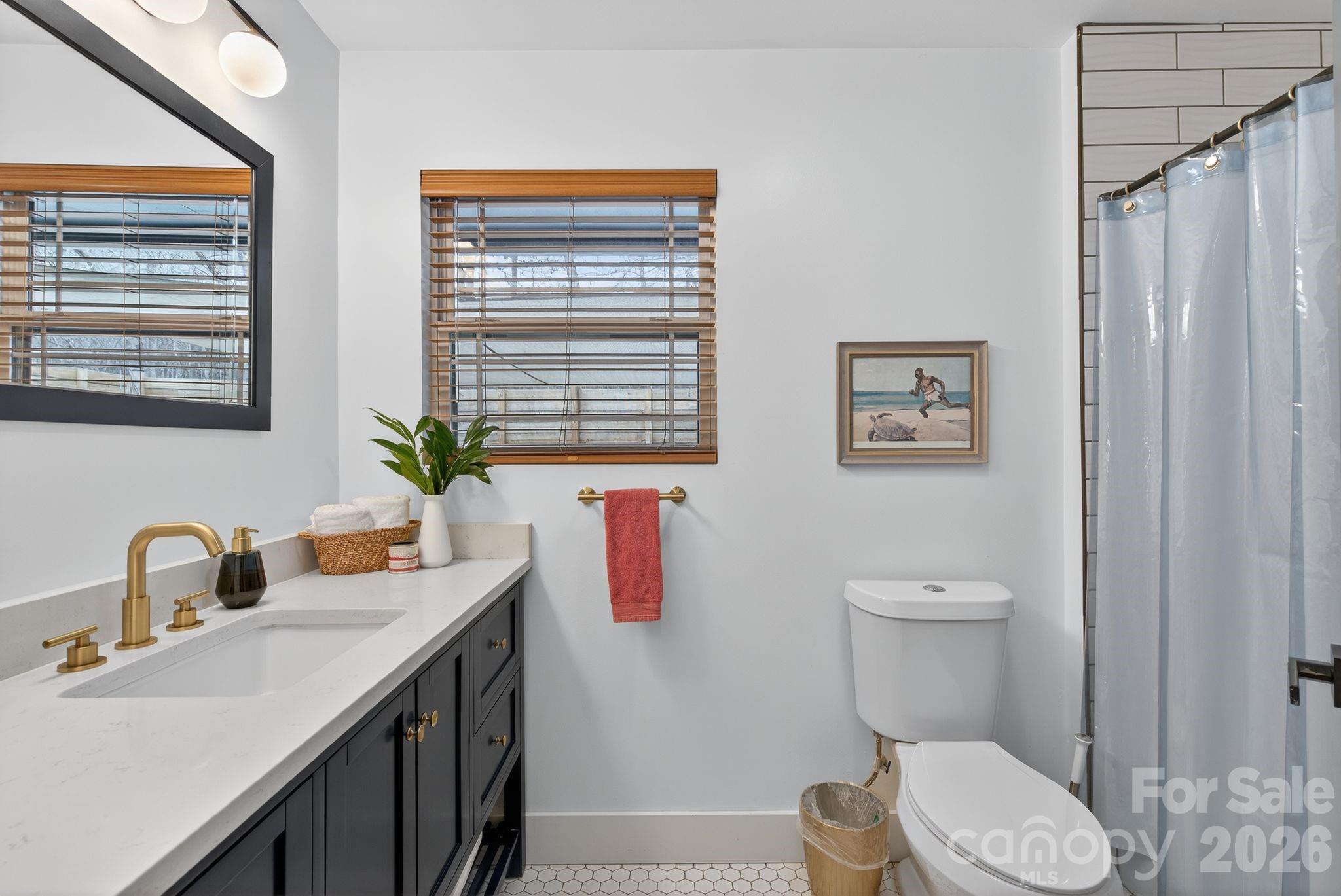 20 Bethesda Road Asheville, NC 28805 - Photo 20 of 30 a bathroom with a toilet sink and mirror
