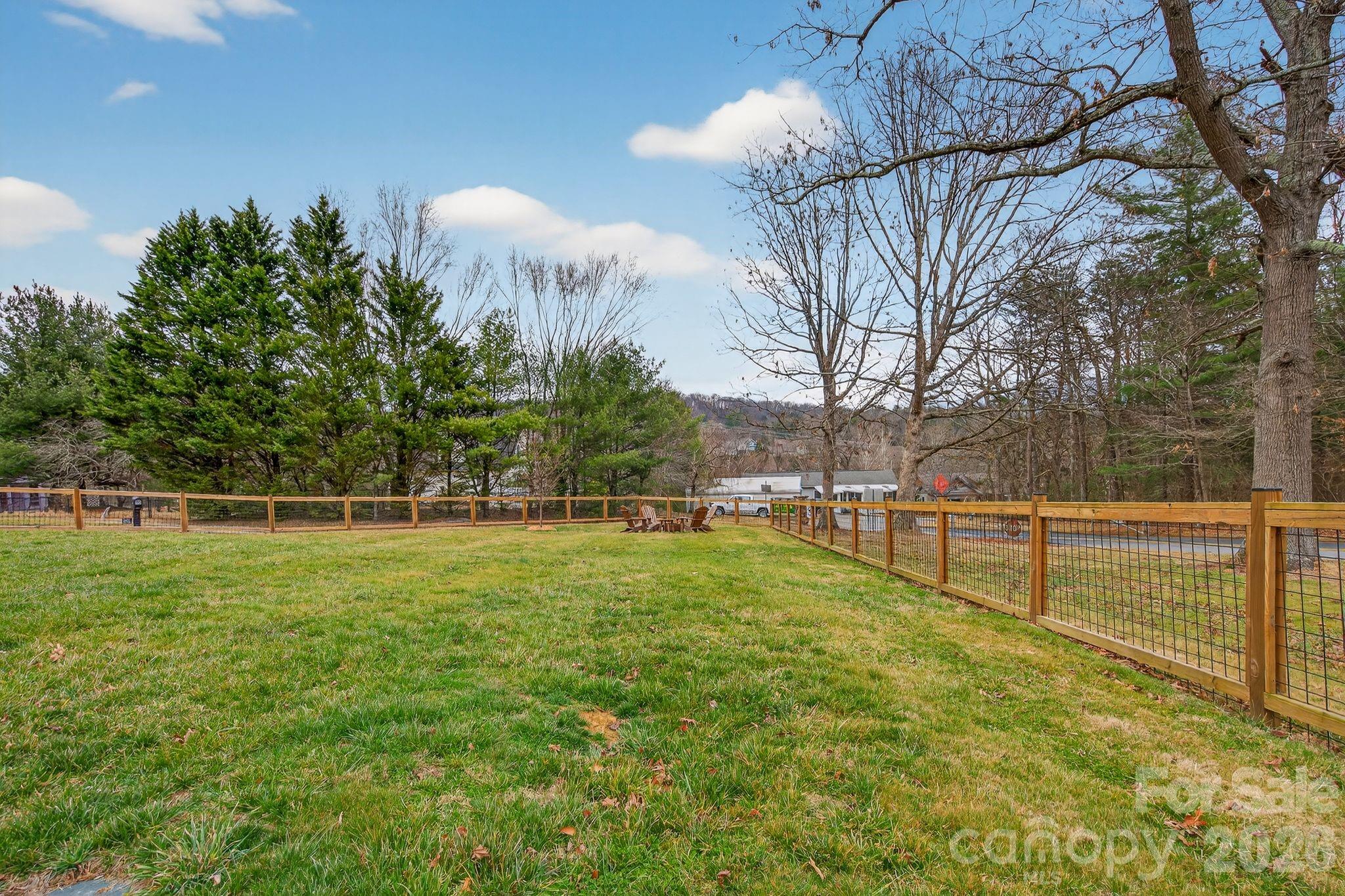 20 Bethesda Road Asheville, NC 28805 - Photo 26 of 30 a view of backyard with large trees