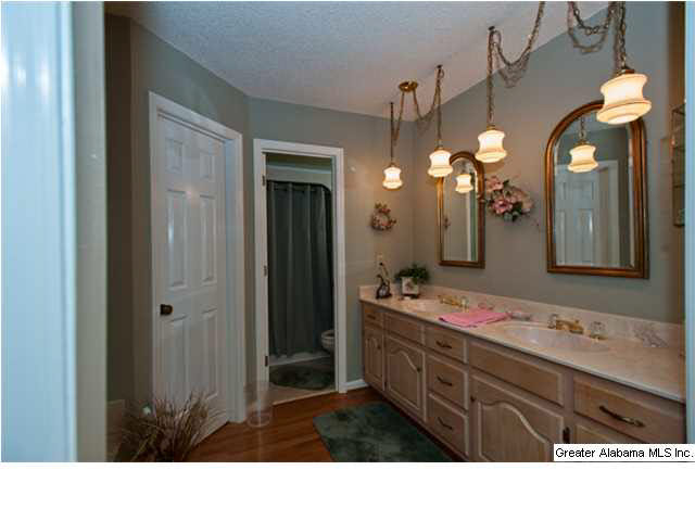 5802 Lee Road Pell City, AL 35128 - Photo 12 of 24 Gallery Image 12