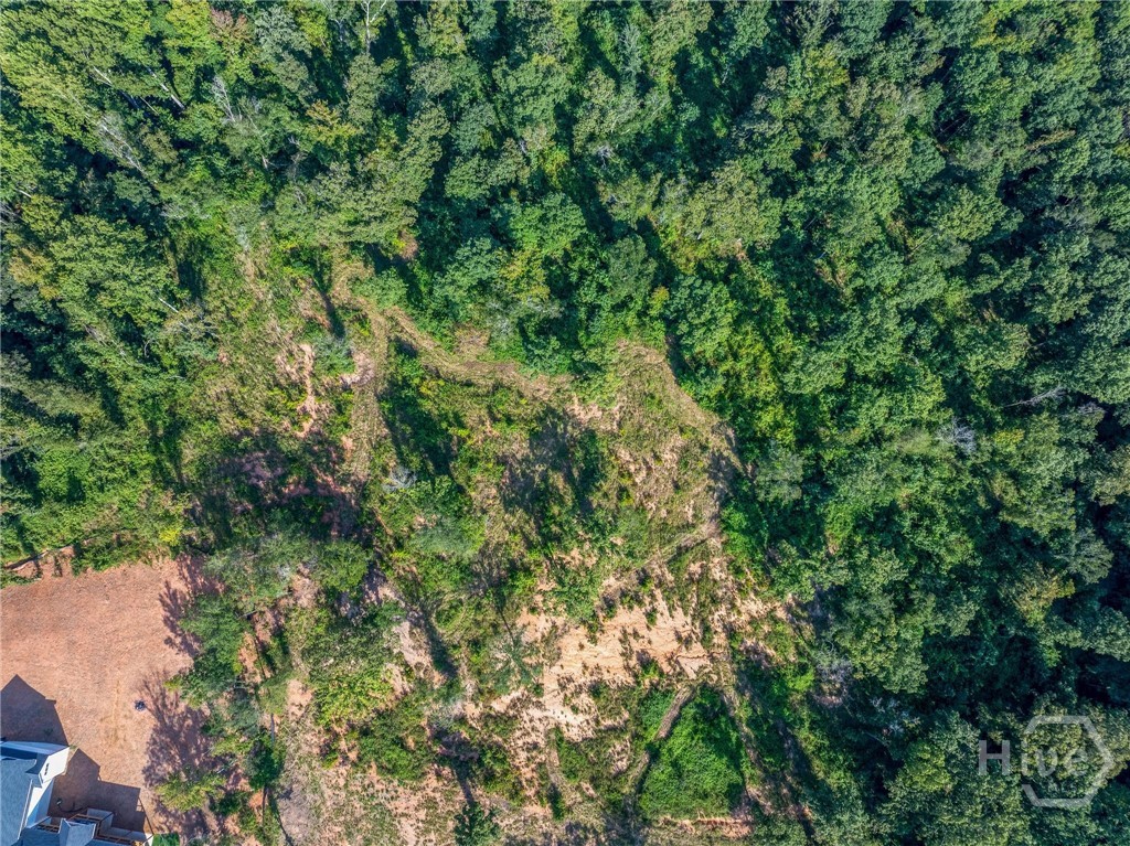 Lot 5 Stewart Loop Jefferson, GA 30549 - Photo 11 of 35