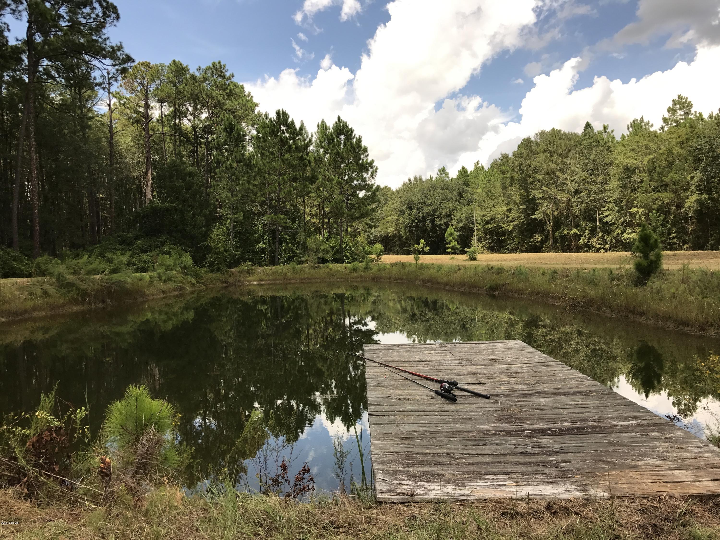 3861 Veteran Road Cottondale, FL 32431 - Photo 25 of 40