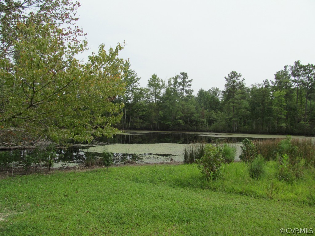 9926 River Road Petersburg, VA 23803 - Photo 3 of 7 View of pond