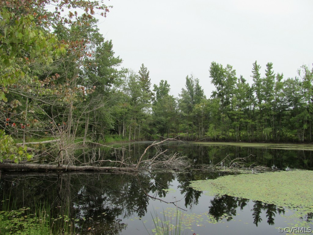 9926 River Road Petersburg, VA 23803 - Photo 4 of 7 Another view of pond. Previous on back side of po