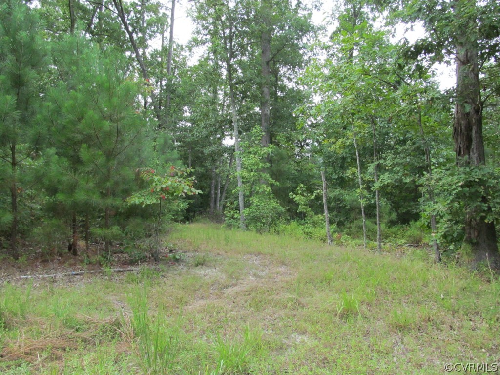 9926 River Road Petersburg, VA 23803 - Photo 7 of 7 Old Road previous used to reach the pond