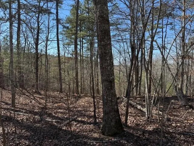 $85,000 | 1 South Pittsburg Mountain, Unit TRACT 1, South Pittsburg, TN 37380