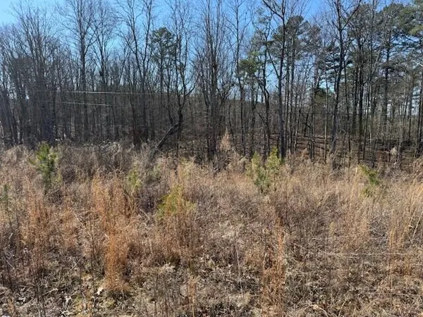 $85,000 | 1 South Pittsburg Mountain, Unit TRACT 1, South Pittsburg, TN 37380