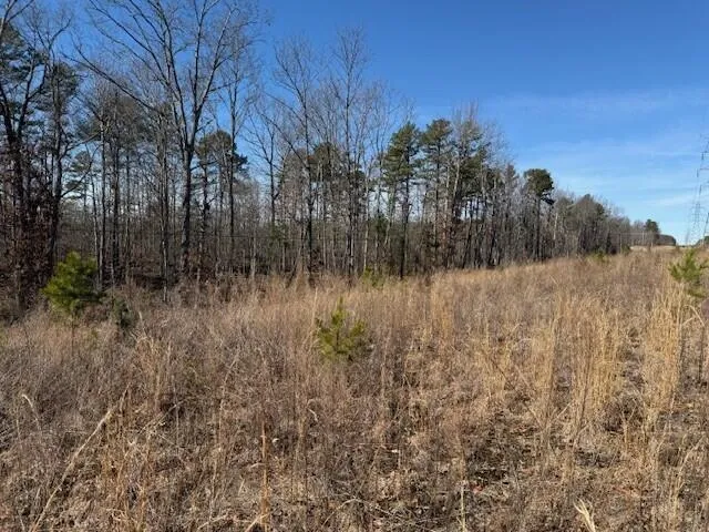 $85,000 | 1 South Pittsburg Mountain, Unit TRACT 1, South Pittsburg, TN 37380