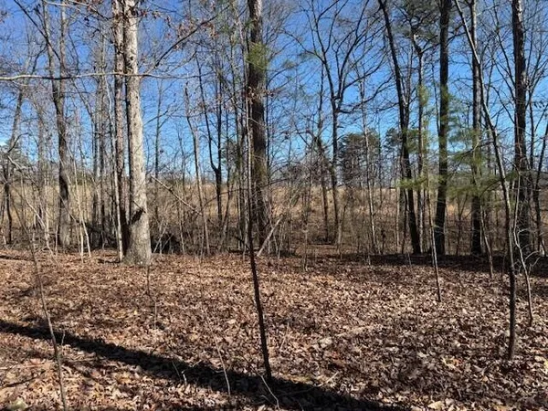 $85,000 | 1 South Pittsburg Mountain, Unit TRACT 1, South Pittsburg, TN 37380