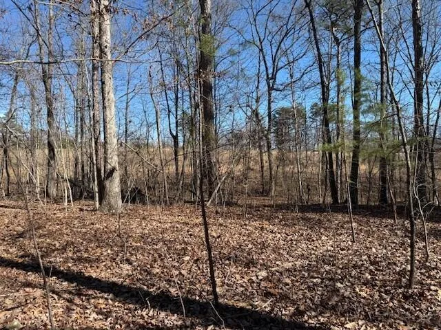 $85,000 | 1 South Pittsburg Mountain, Unit TRACT 1, South Pittsburg, TN 37380