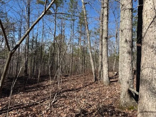 $85,000 | 1 South Pittsburg Mountain, Unit TRACT 1, South Pittsburg, TN 37380