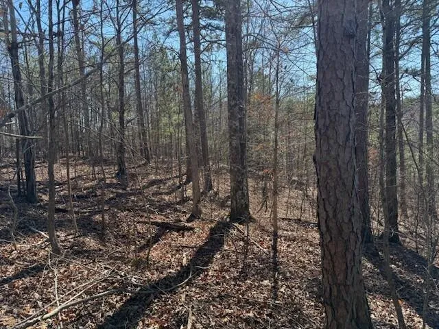 $85,000 | 1 South Pittsburg Mountain, Unit TRACT 1, South Pittsburg, TN 37380