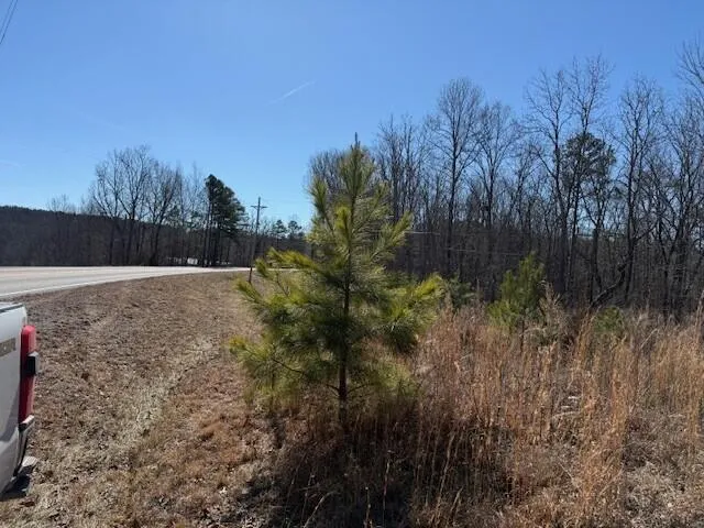 $85,000 | 1 South Pittsburg Mountain, Unit TRACT 1, South Pittsburg, TN 37380