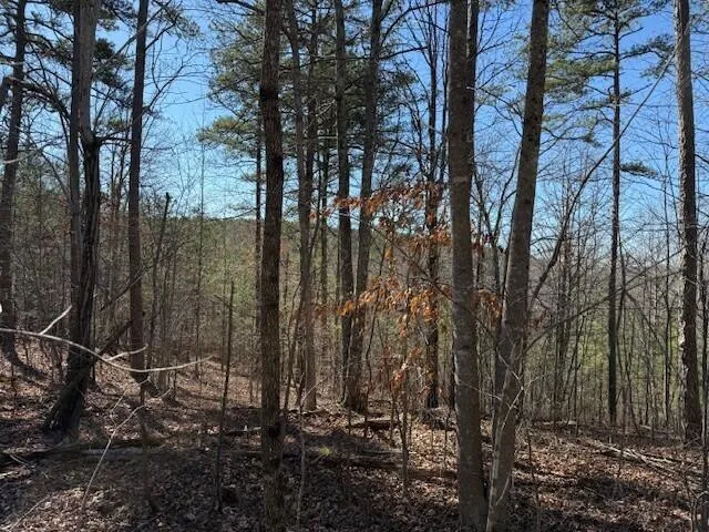 $85,000 | 1 South Pittsburg Mountain, Unit TRACT 1, South Pittsburg, TN 37380