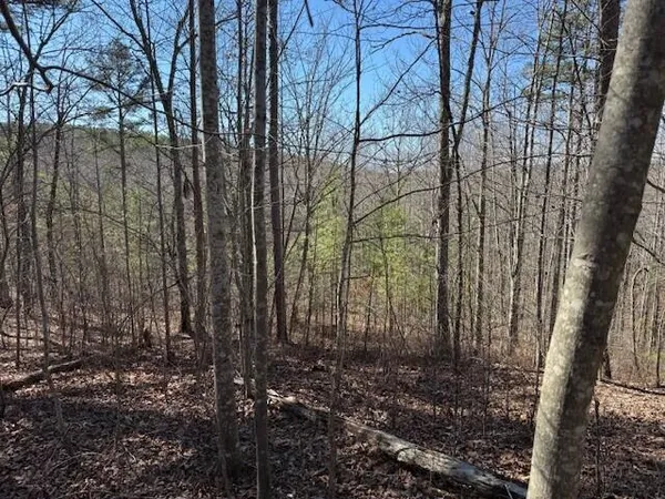 $85,000 | 1 South Pittsburg Mountain, Unit TRACT 1, South Pittsburg, TN 37380