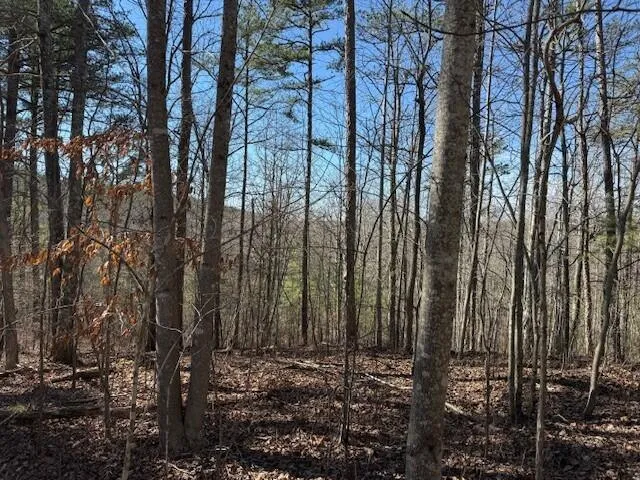 $85,000 | 1 South Pittsburg Mountain, Unit TRACT 1, South Pittsburg, TN 37380