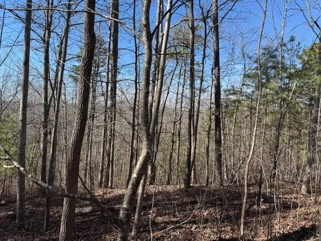 $85,000 | 1 South Pittsburg Mountain, Unit TRACT 1, South Pittsburg, TN 37380