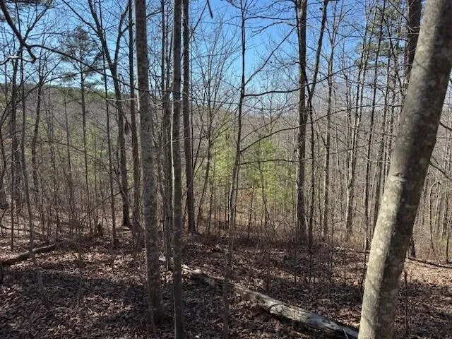 $85,000 | 1 South Pittsburg Mountain, Unit TRACT 1, South Pittsburg, TN 37380