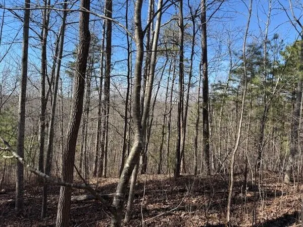 $85,000 | 1 South Pittsburg Mountain, Unit TRACT 1, South Pittsburg, TN 37380
