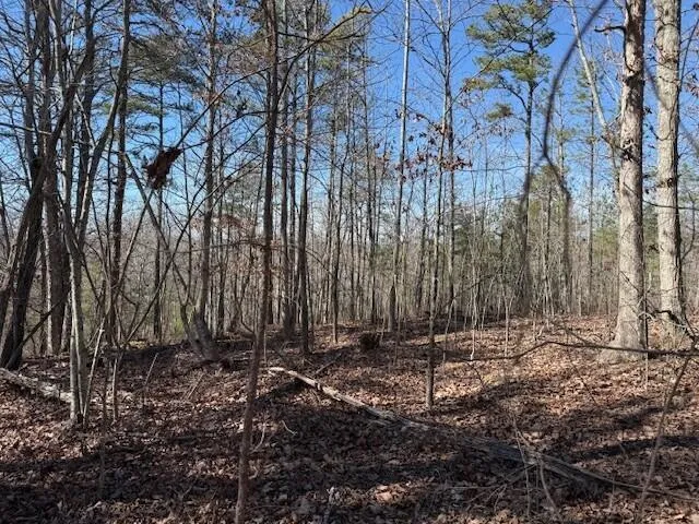 $85,000 | 1 South Pittsburg Mountain, Unit TRACT 1, South Pittsburg, TN 37380