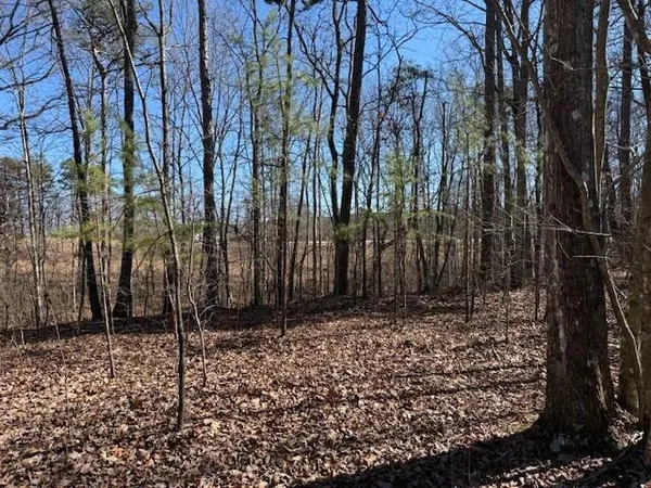 $85,000 | 1 South Pittsburg Mountain, Unit TRACT 1, South Pittsburg, TN 37380