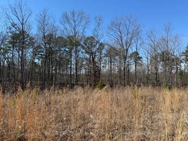 $85,000 | 1 South Pittsburg Mountain, Unit TRACT 1, South Pittsburg, TN 37380