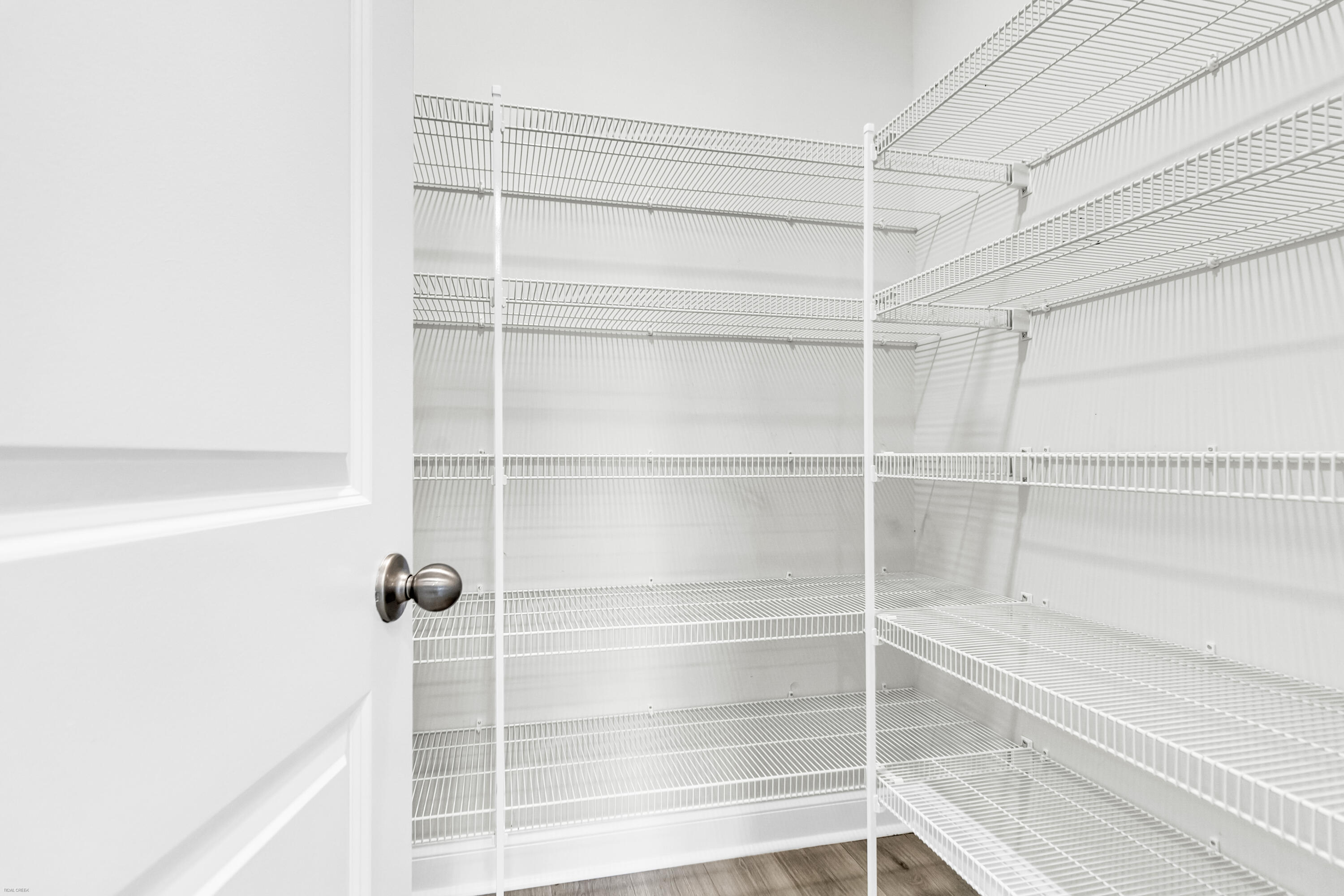 293 Red Leaf Boulevard Moncks Corner, SC 29461 - Photo 15 of 54 Pantry