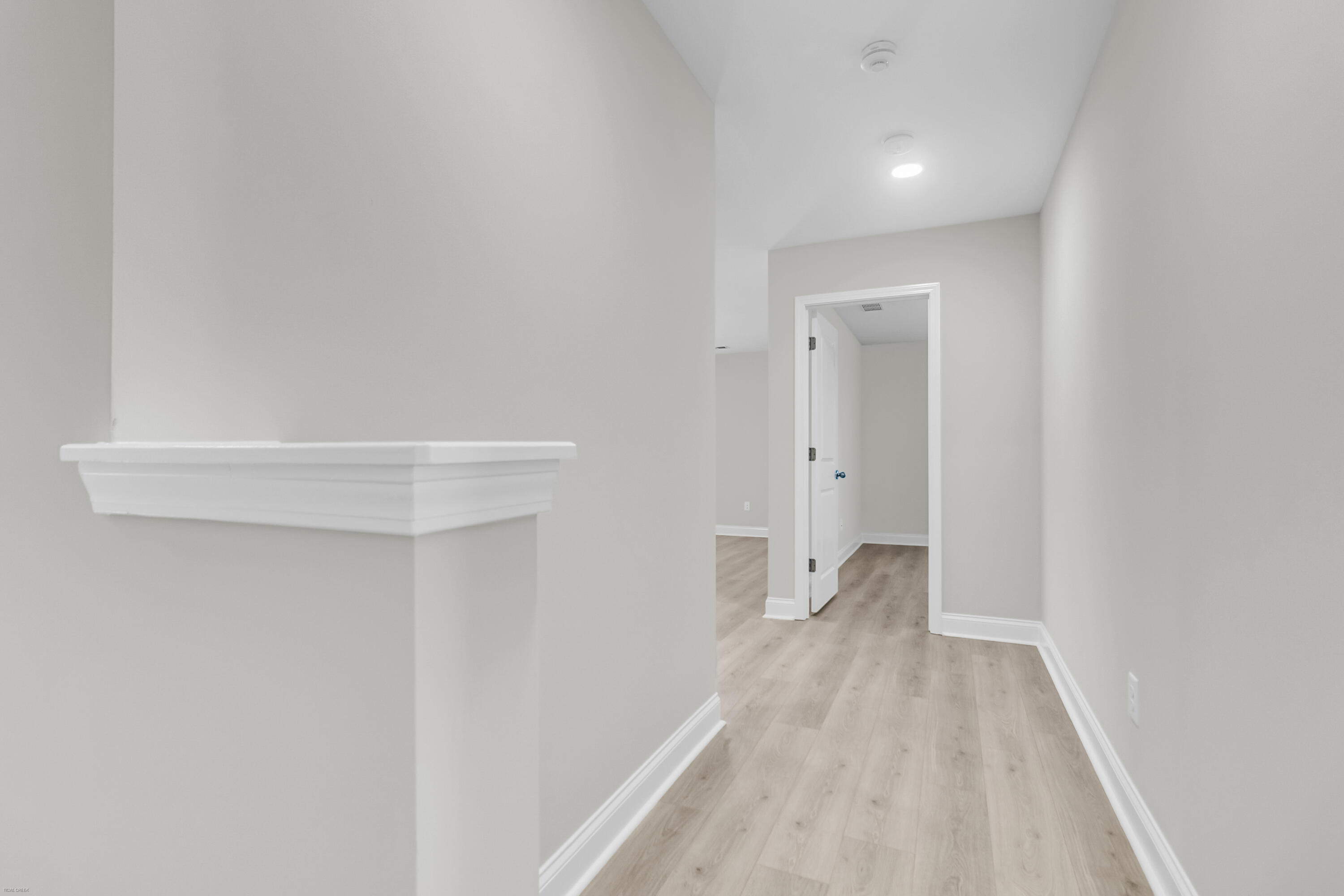 293 Red Leaf Boulevard Moncks Corner, SC 29461 - Photo 19 of 54 Upstairs Hallway