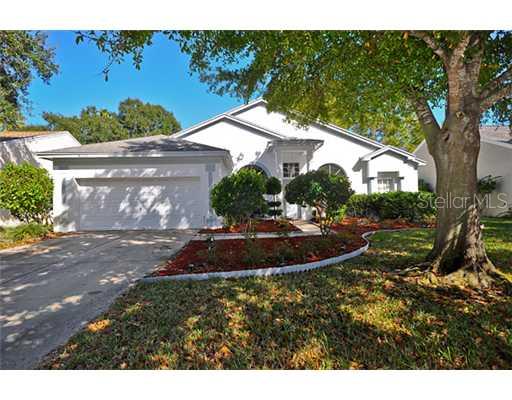 4255 Tremblay Way Palm Harbor, FL 34685 - Photo 1 of 1 a view of a yard in front of house