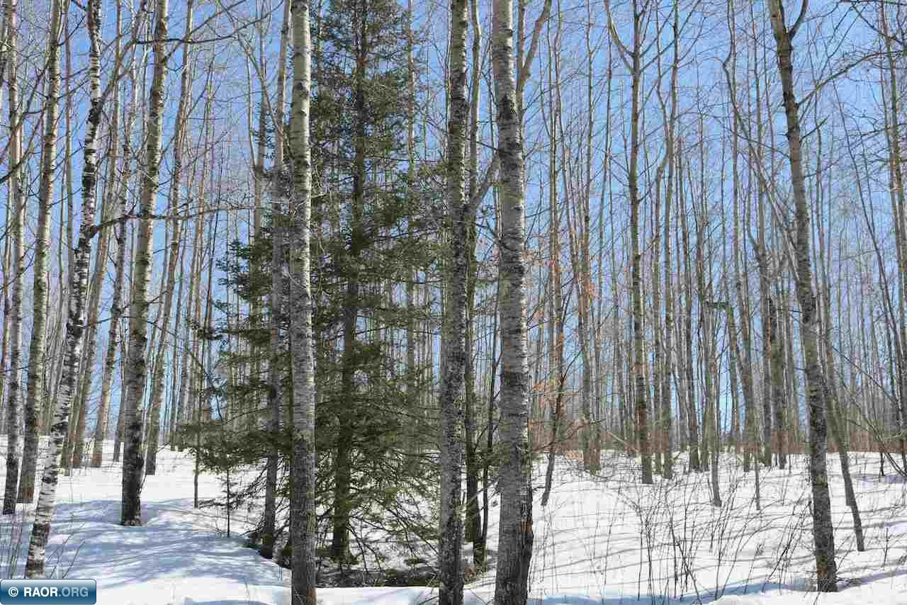 Xxx Wynne Ridge Road Aurora, MN 55705 - Photo 12 of 14 Gallery Image 12