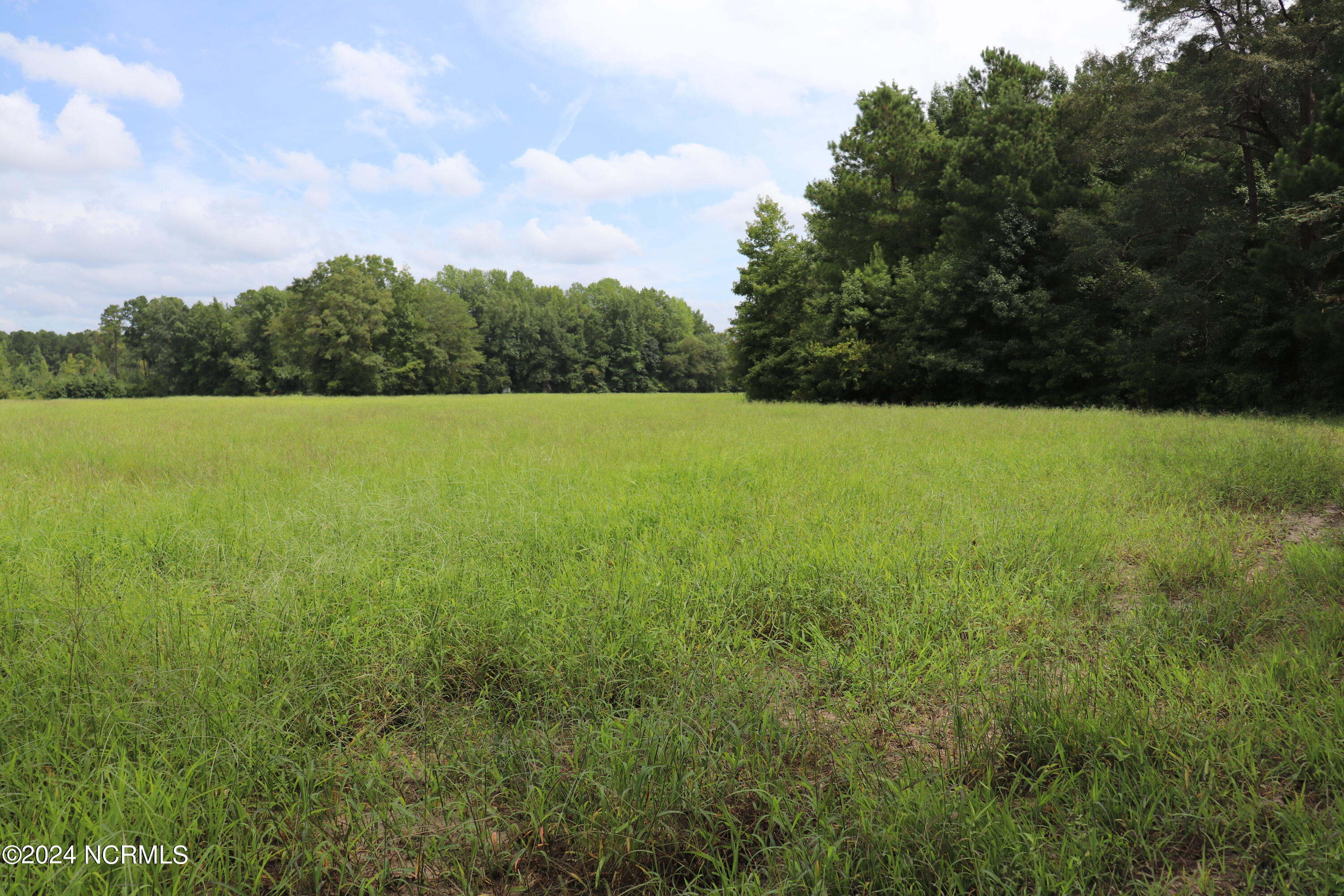 Tbd Tbd Pocosin Road Council, NC 28434 - Photo 11 of 25 Fallow field