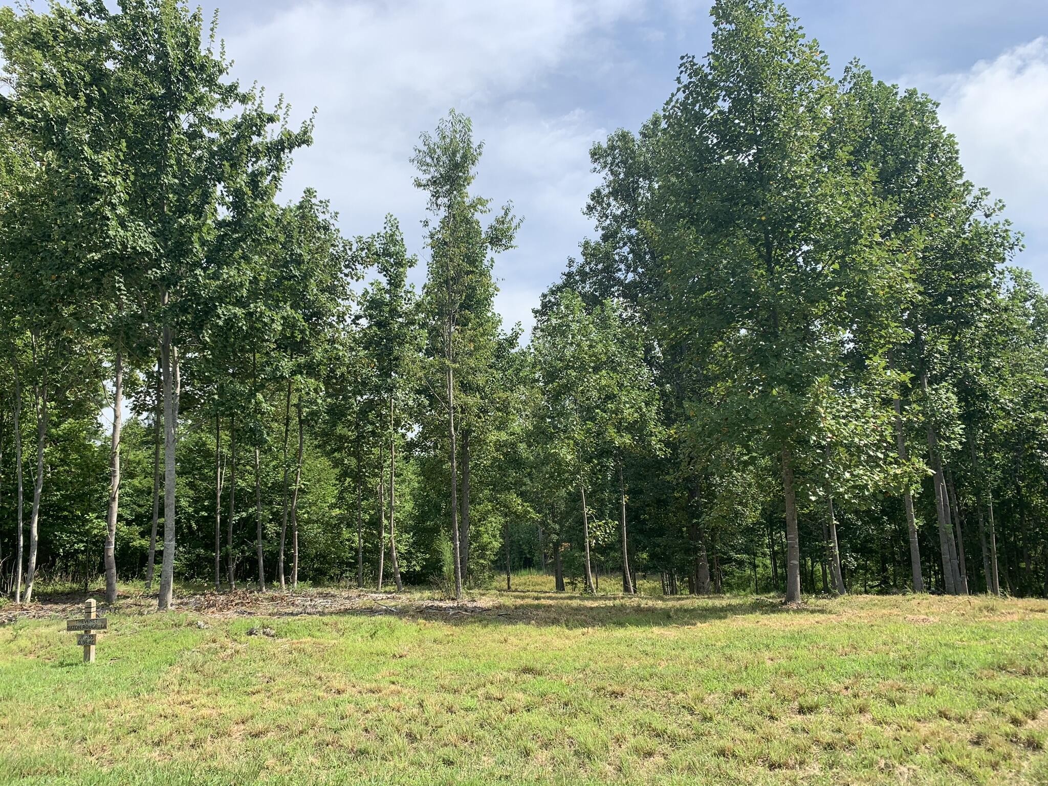 350 Crockett Loop Jasper, TN 37347 - Photo 4 of 55 a view of outdoor space with a garden and trees
