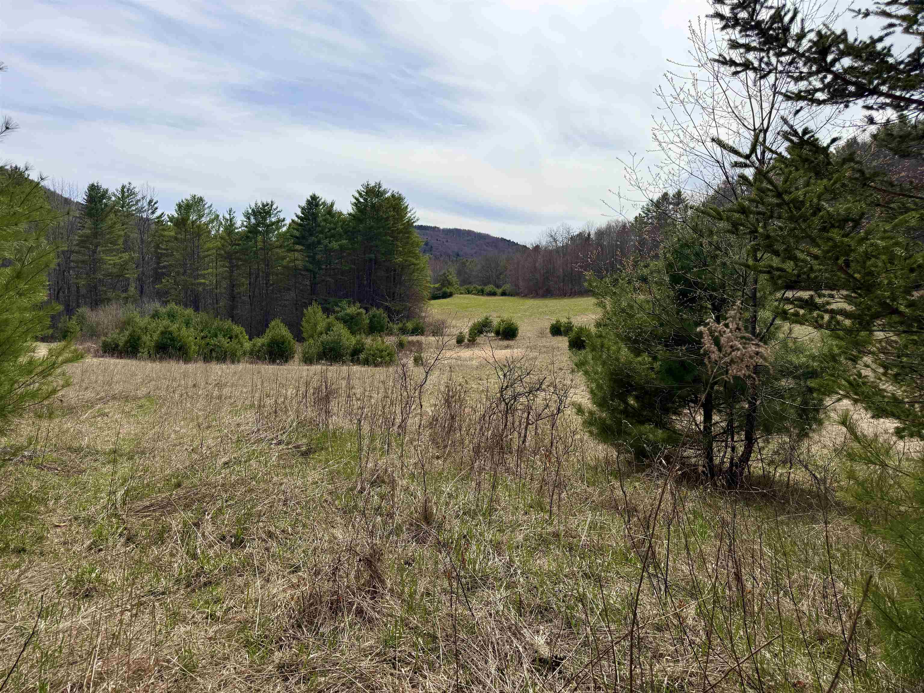 137 Foundry Road Tunbridge, VT 05077 - Photo 5 of 30