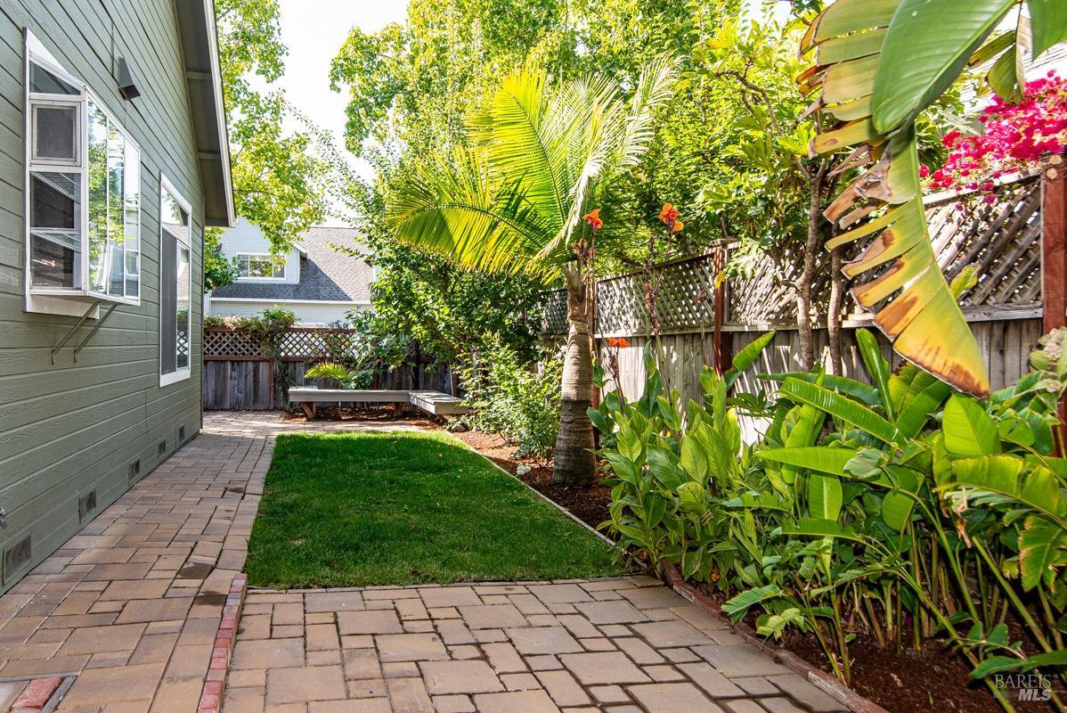 23 Baypoint Drive San Rafael, CA 94901 - Photo 31 of 40 a backyard of a house with lots of green space
