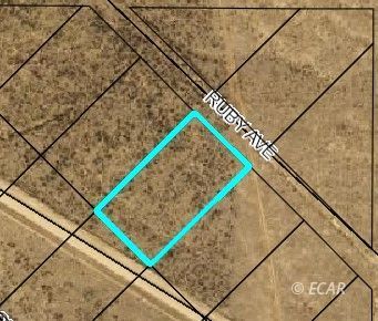 Ruby Avenue Spring Creek, NV 89815 - Photo 1 of 8