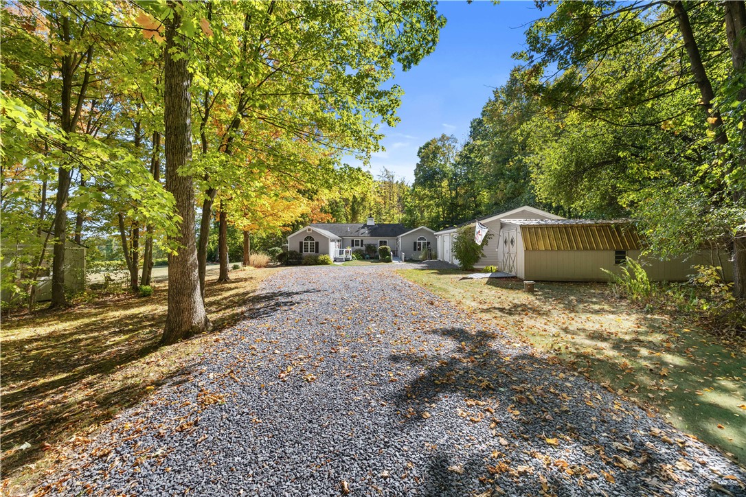 3175 Williams Hill Road Jerusalem, NY 14527 - Photo 4 of 50