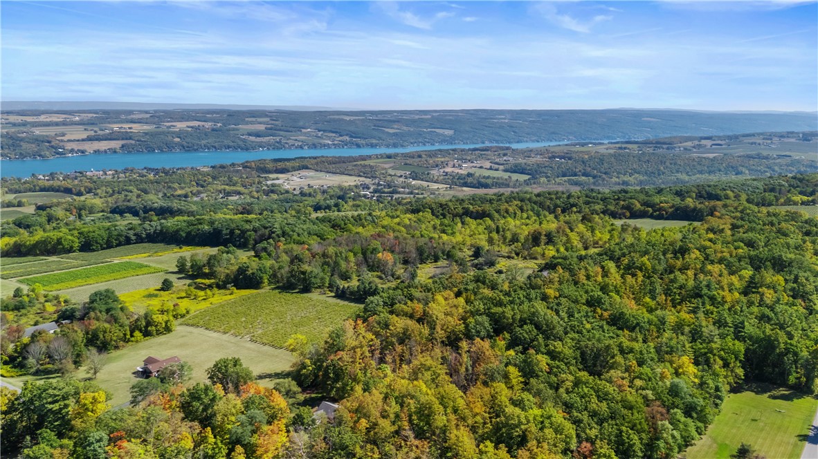 3175 Williams Hill Road Jerusalem, NY 14527 - Photo 48 of 50