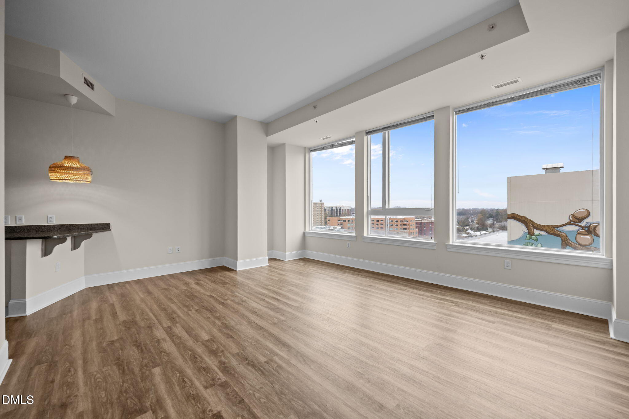 400 West North Street, Unit 814 Raleigh, NC 27603 - Photo 26 of 45 a view of an empty room with a window