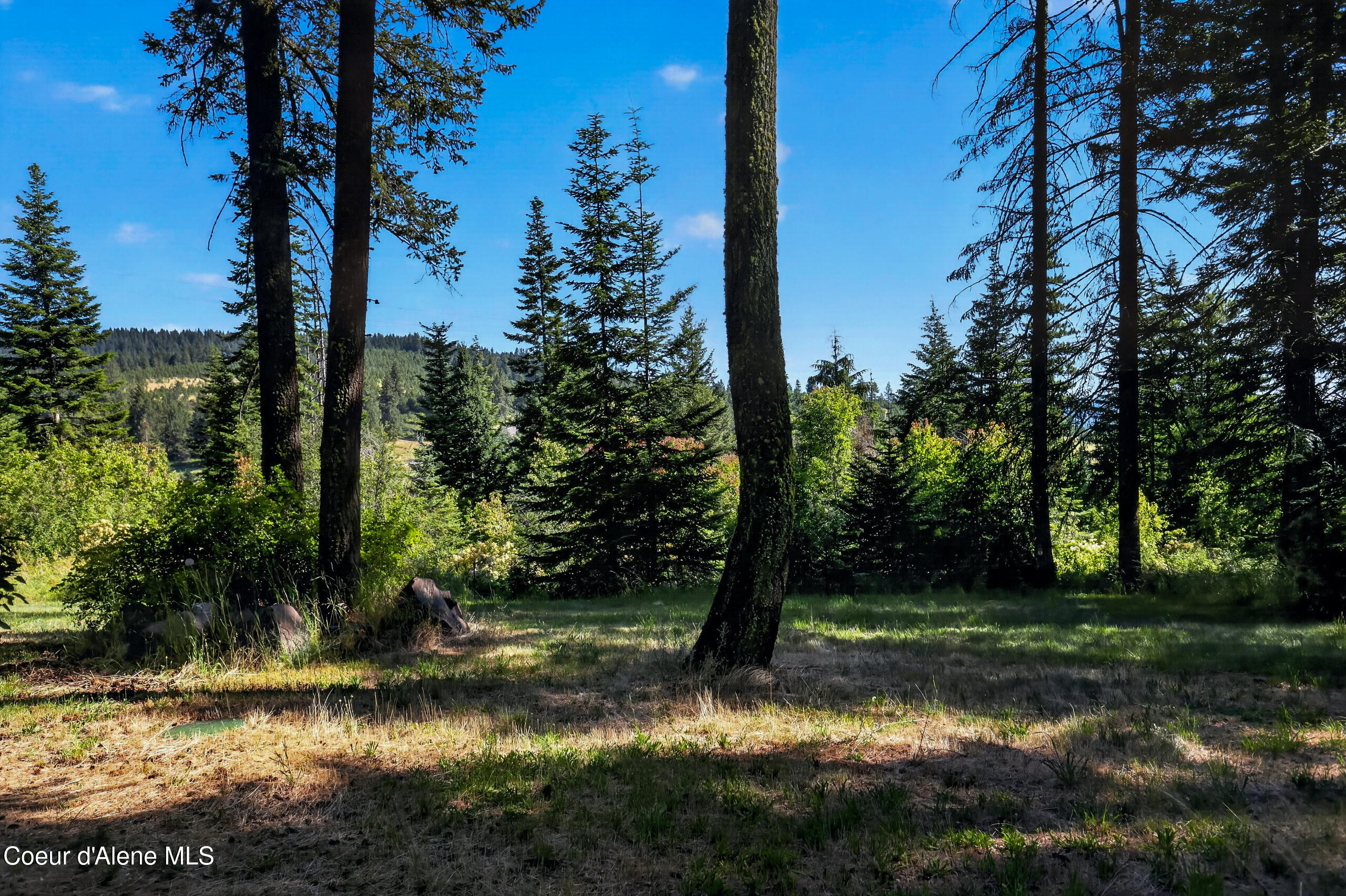 13227 West Elder Road Worley, ID 83876 - Photo 24 of 42 9N5A3745