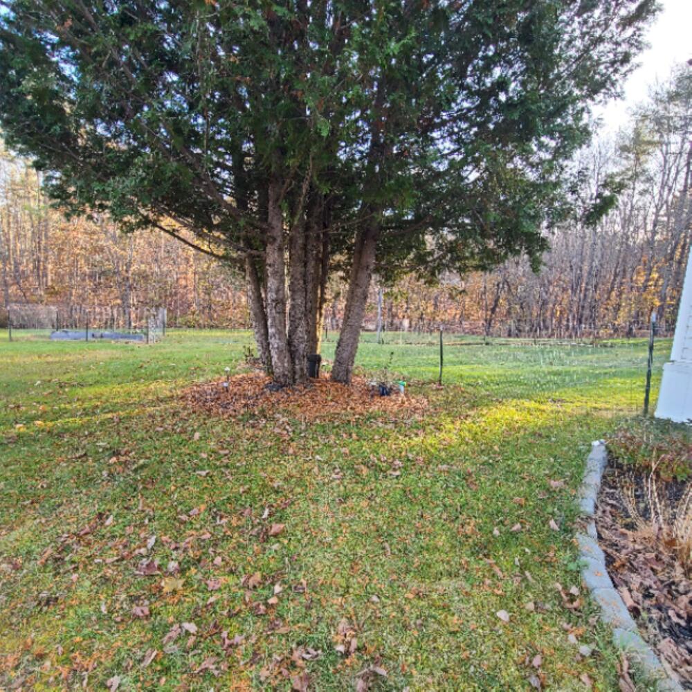 25 Cemetery Road Wilton, ME 04294 - Photo 27 of 29 20231116_143135_result