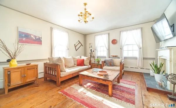 a living room with furniture a table and a potted plant