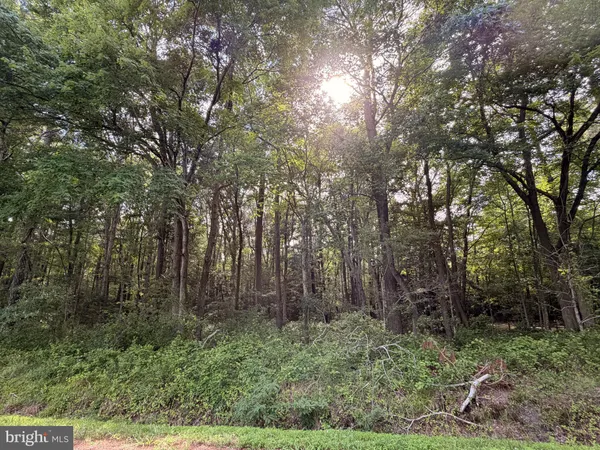 $15,000 | 0 Bivens Road, Marion Station, MD 21838