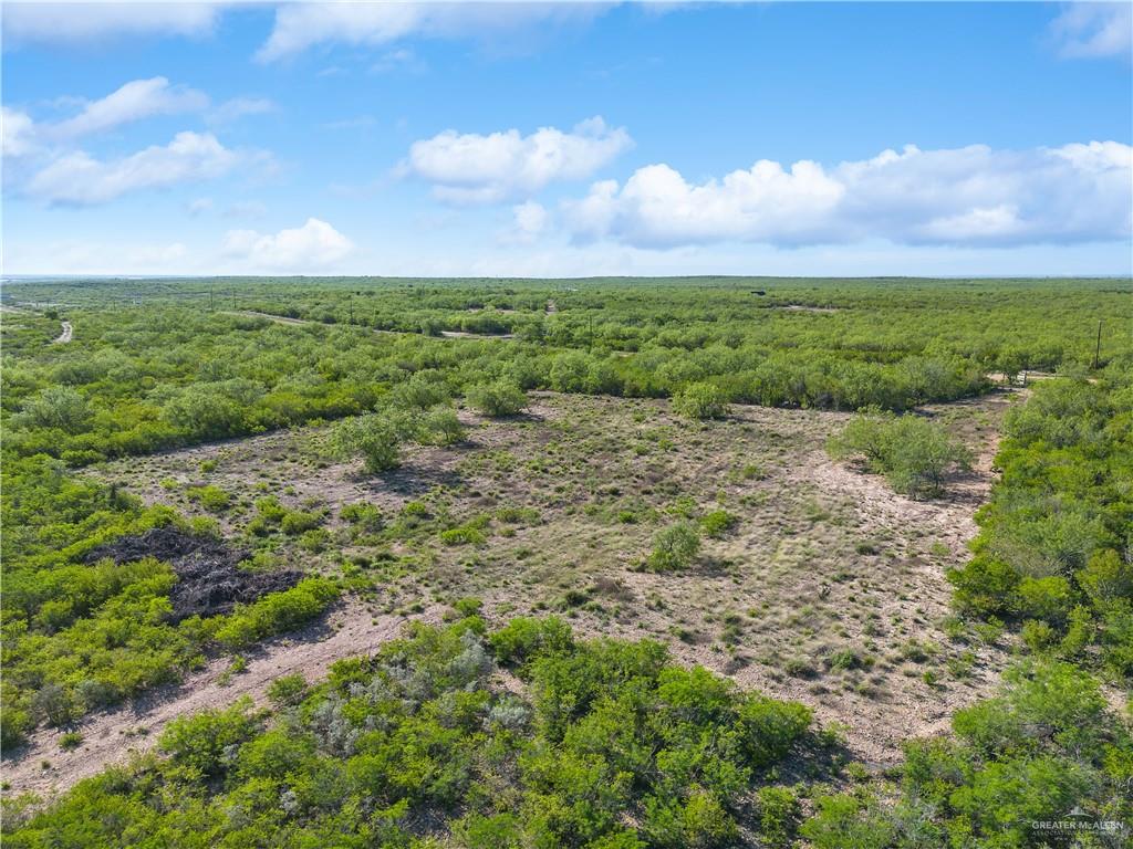 136 Paseo De La Rio Grande City, TX 78582 - Photo 6 of 11