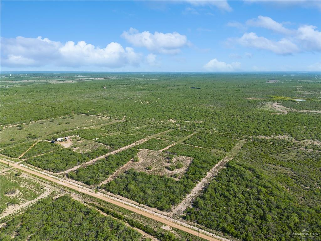 136 Paseo De La Rio Grande City, TX 78582 - Photo 8 of 11