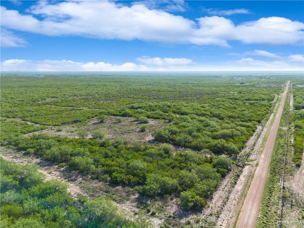 136 Paseo De La Rio Grande City, TX 78582 - Photo 10 of 11