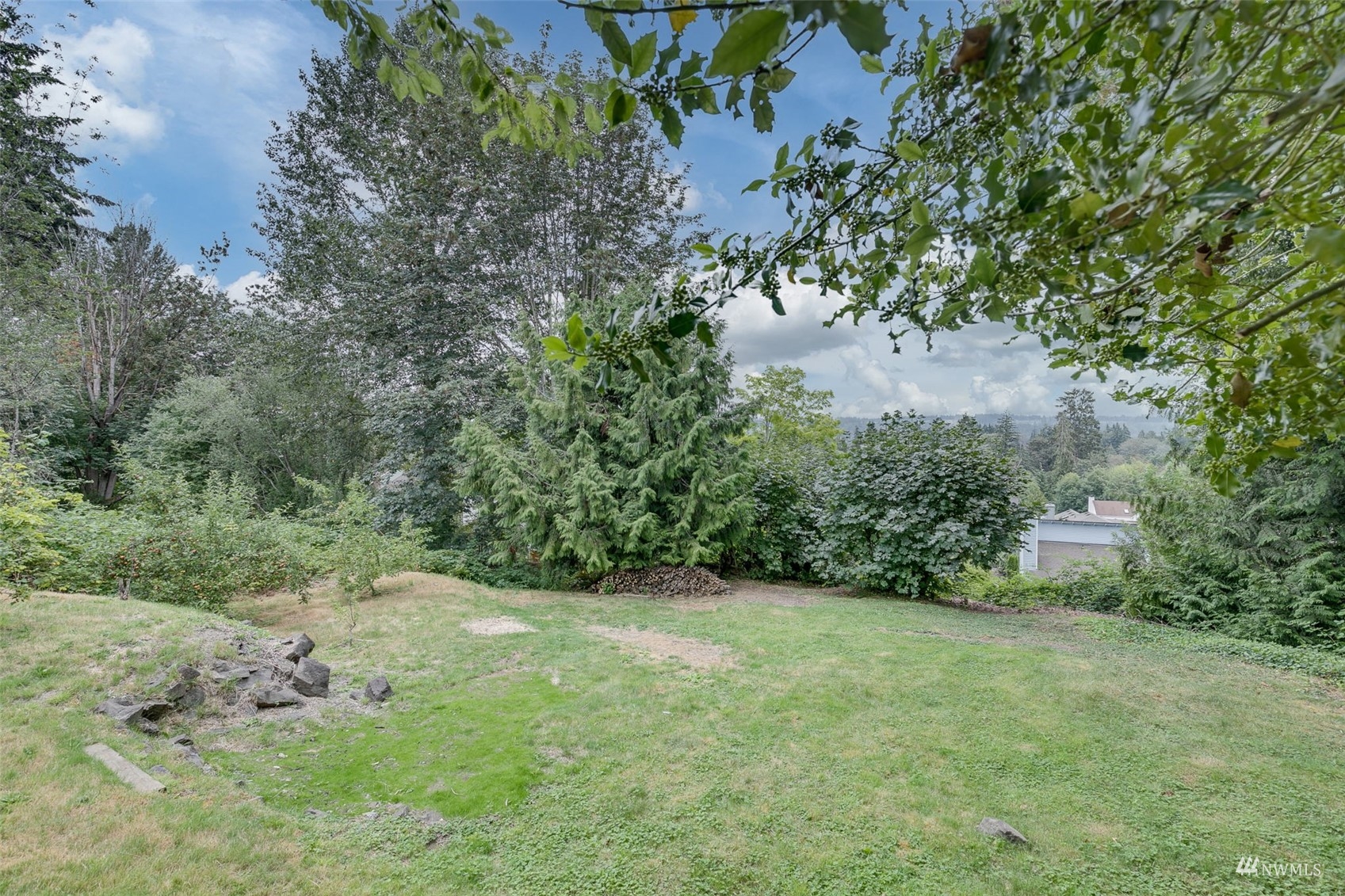 22417 4th Avenue Southeast Bothell, WA 98021 - Photo 23 of 27 a view of a yard with a tree