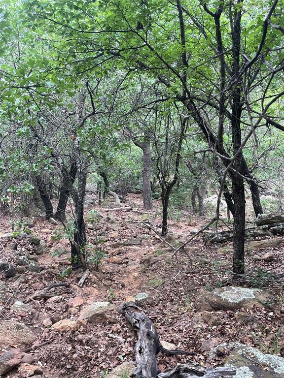 31.09-ac Hoefle Road Jacksboro, TX 76458 - Photo 22 of 33 a view of a trees with a tree